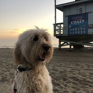 Meet your Posher, Pat